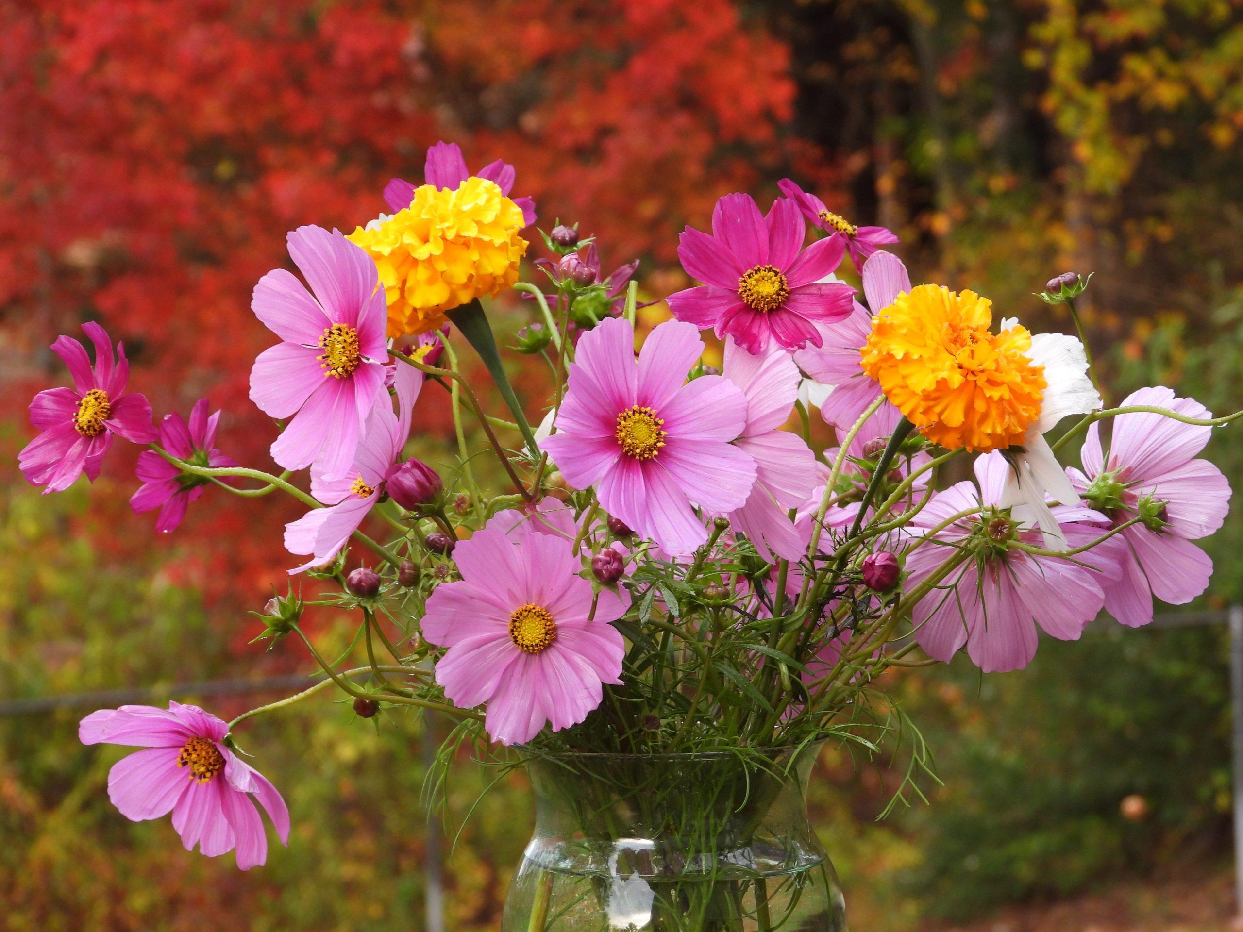 Vase with Flowers by Janet McDonald